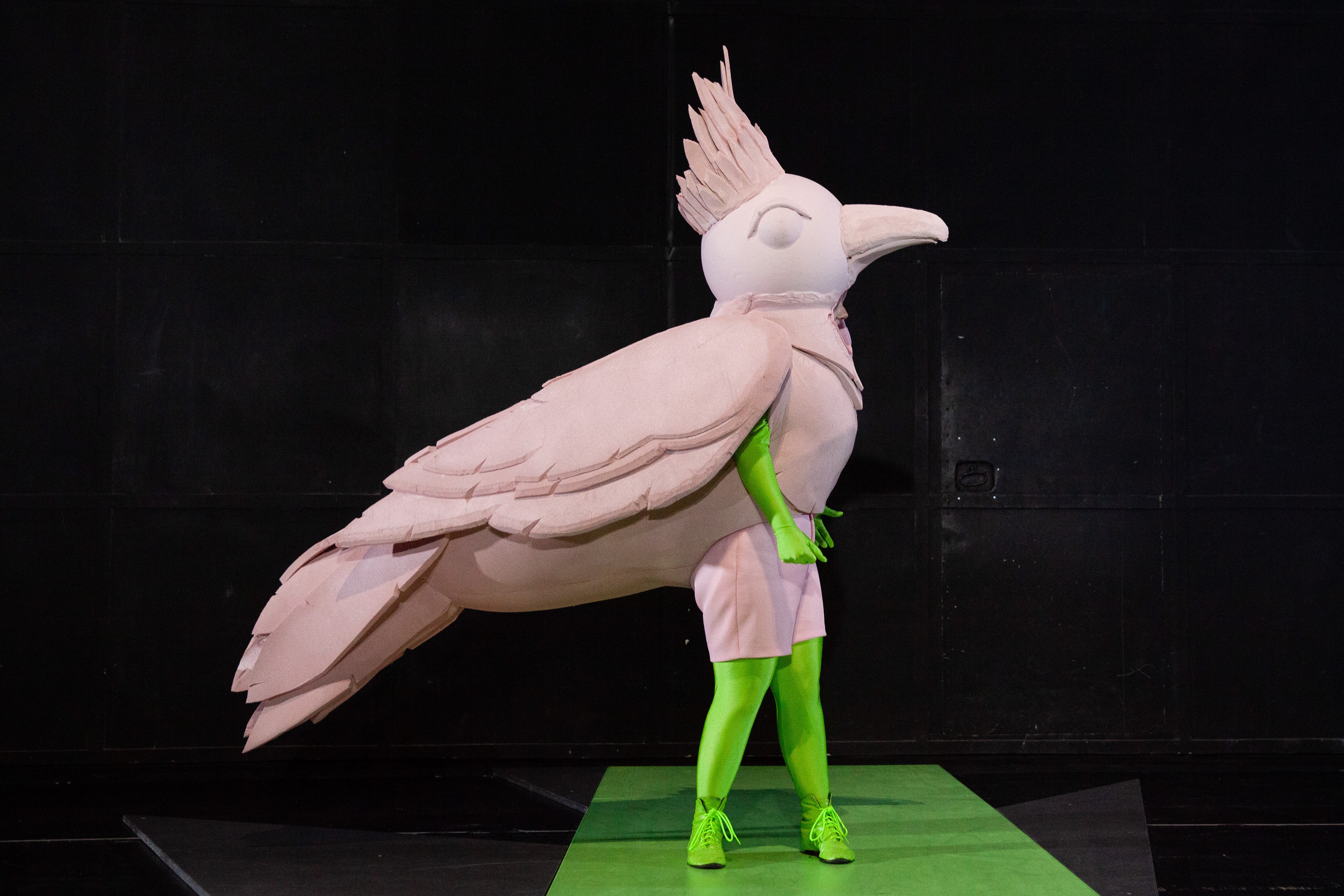 Eine Person in einem Vogelkostüm